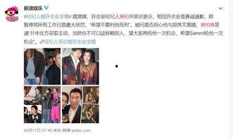 港圈爆料视频解说全集在线观看,揭秘娱乐圈幕后真相  第3张